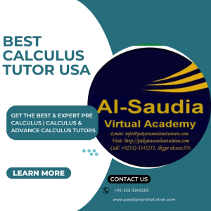 Calculus Tutor USA